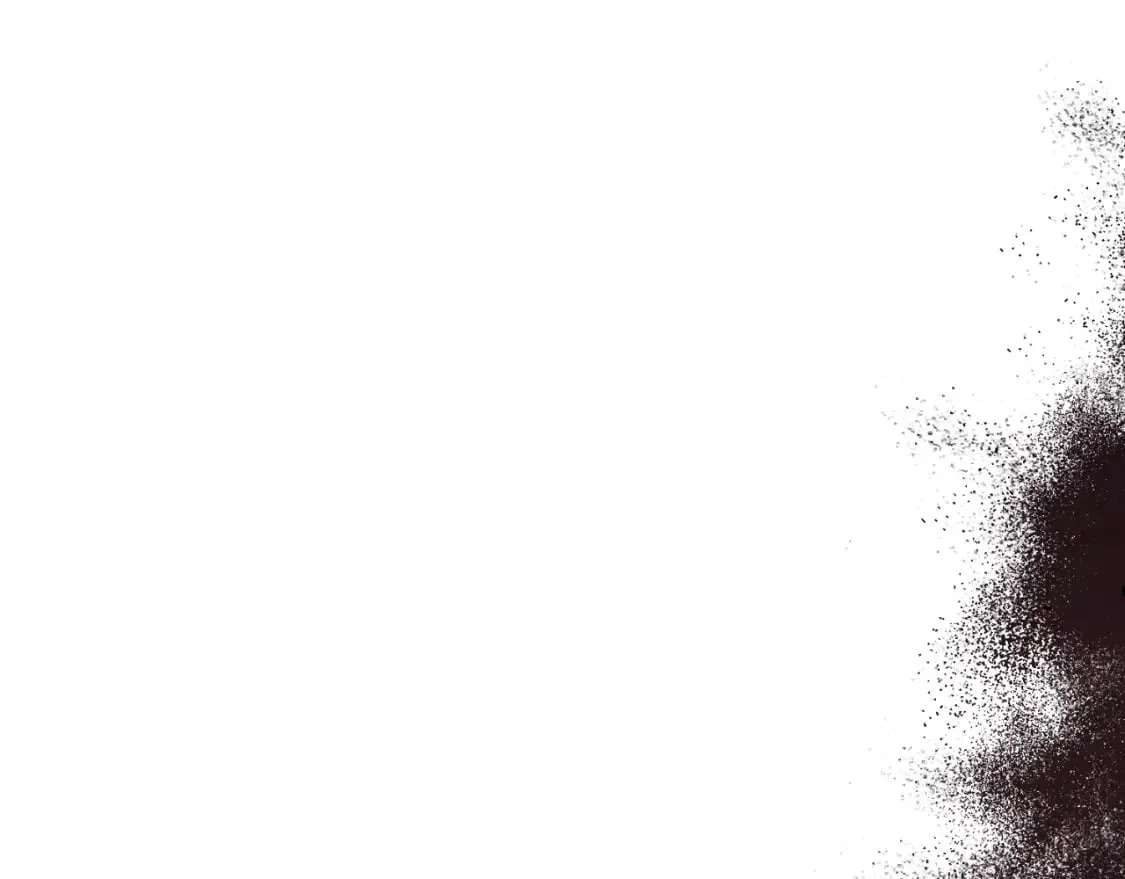 番外10 你不要受伤 第87页