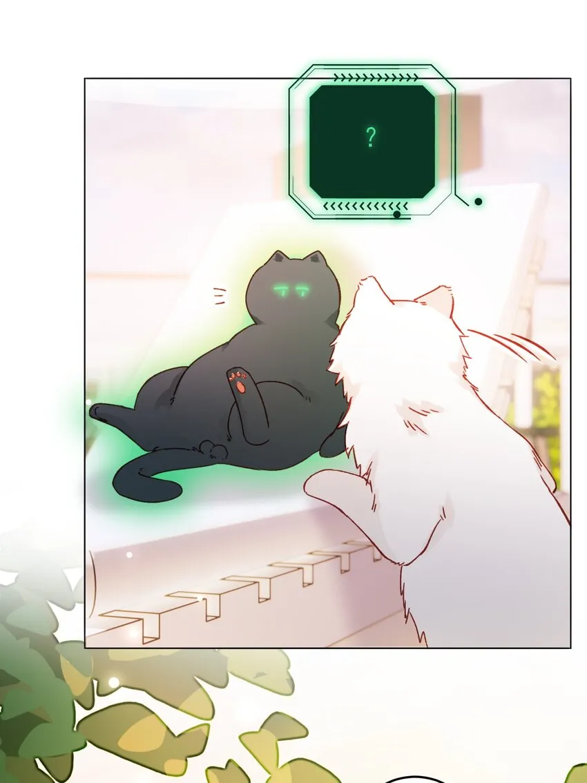 069 不需要！ 第24页