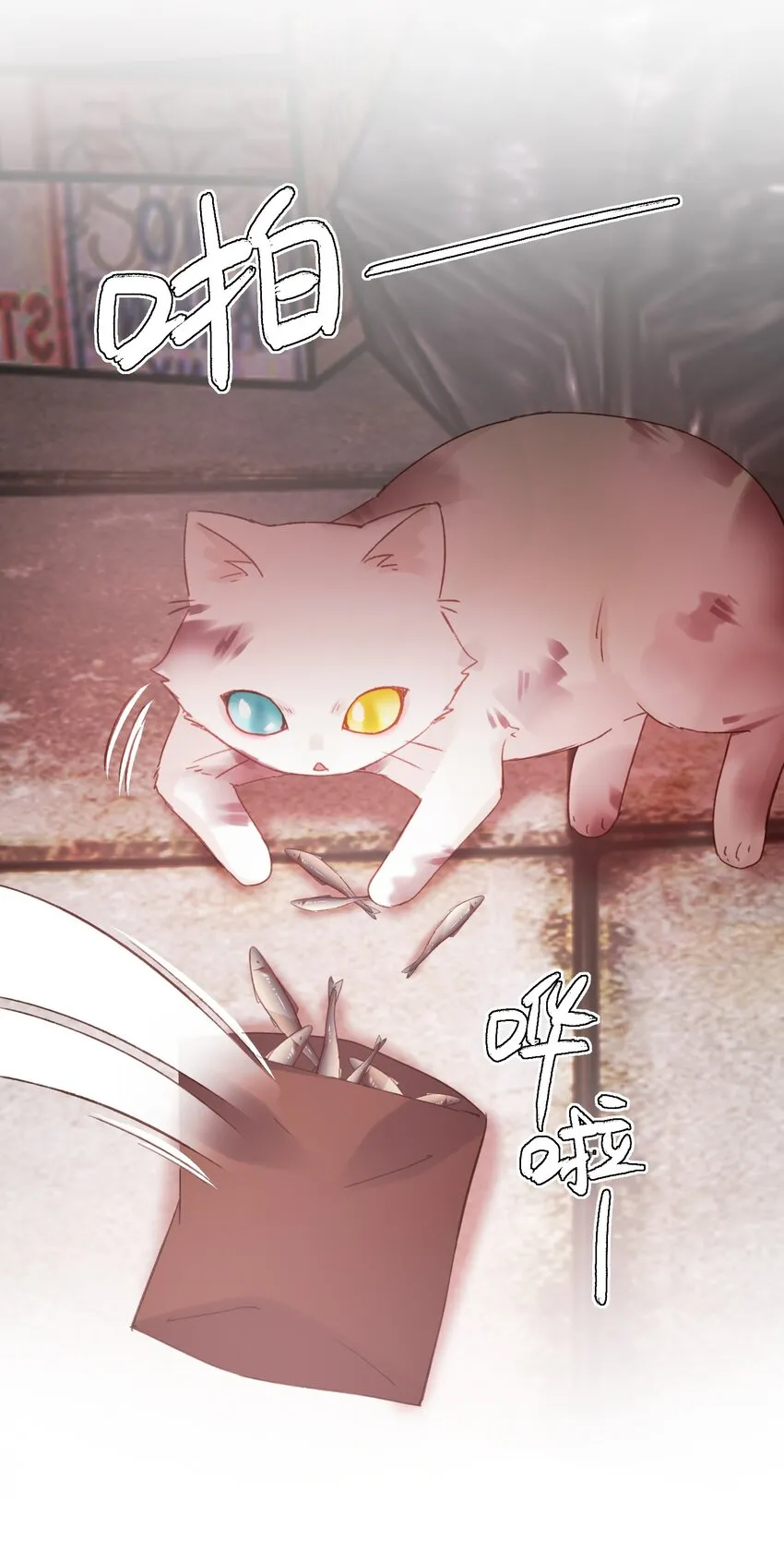 065 我是替身吗？ 第6页