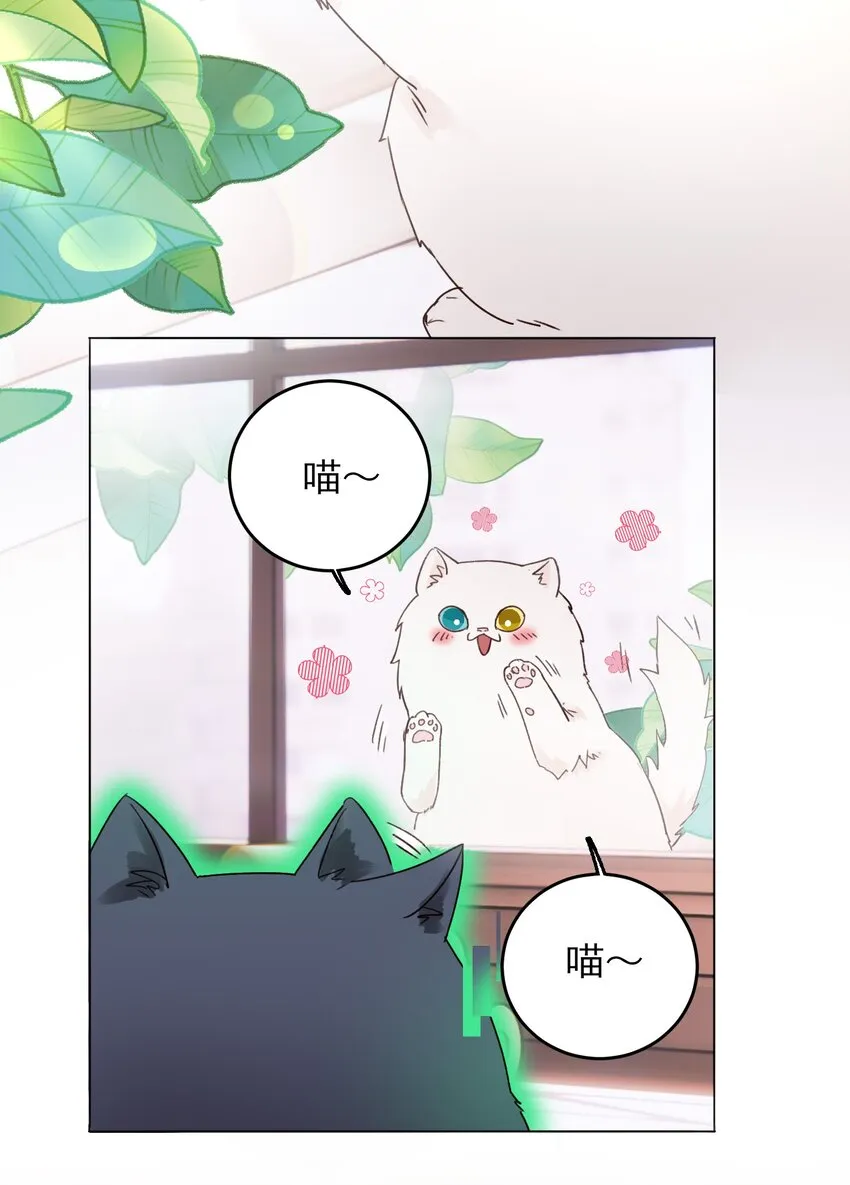 015 留下不该留下的 第3页