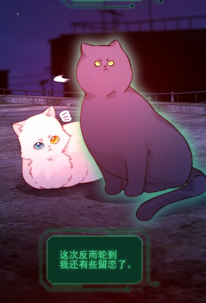 090 来世再见 第25页