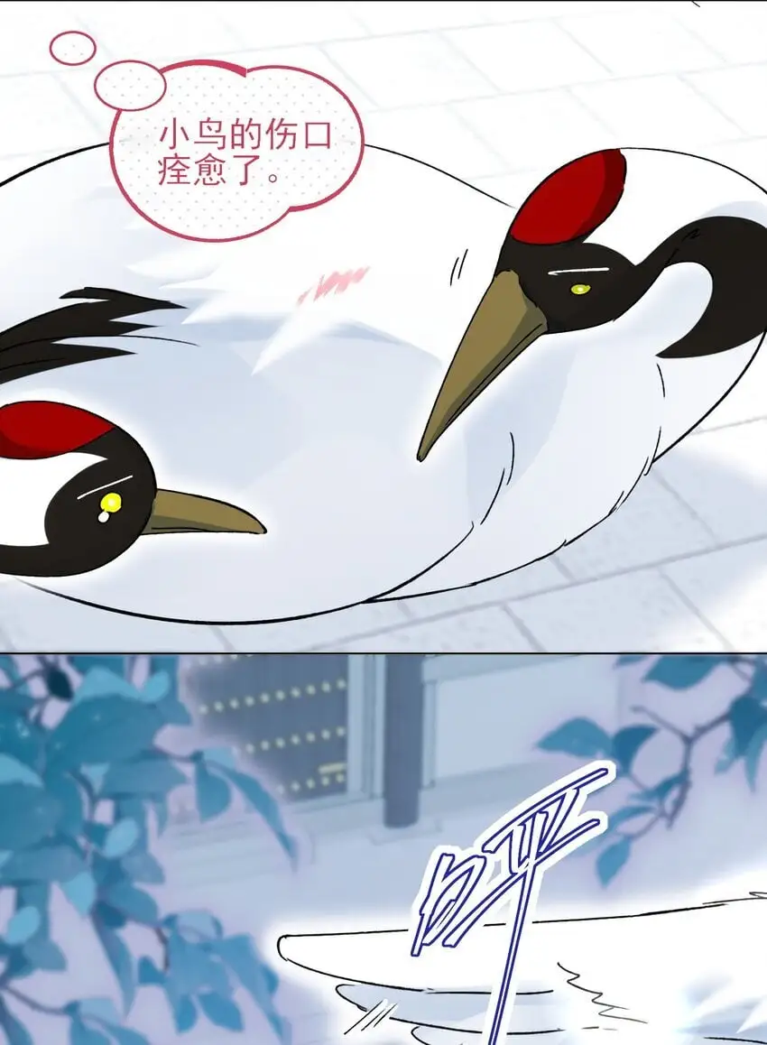 113 似曾相识 第26页