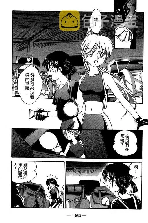 第2卷 第196页