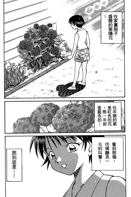 第6卷 第43页