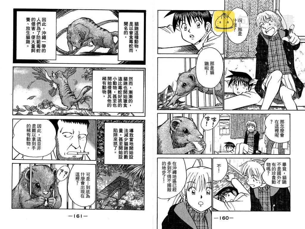 第11卷 第80页