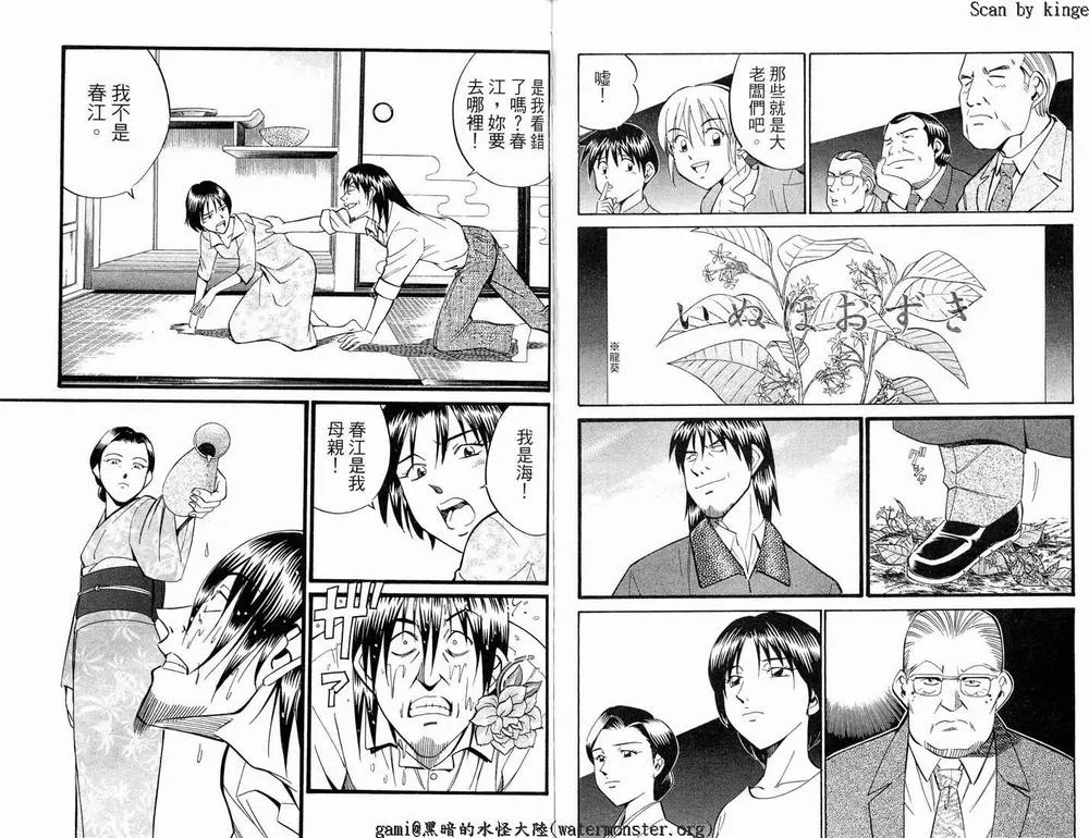 第17卷 第81页