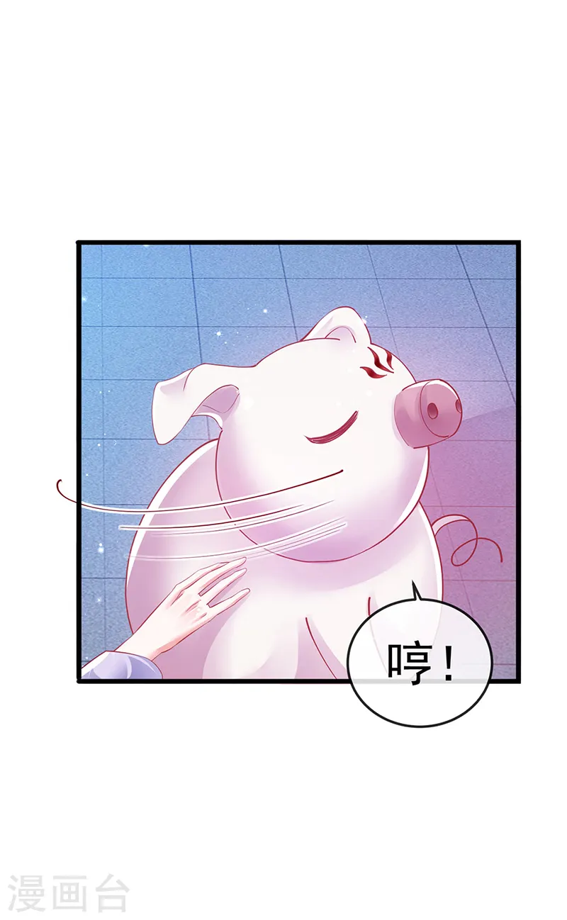 第42话 变身成猪？新奇遇！ 第11页