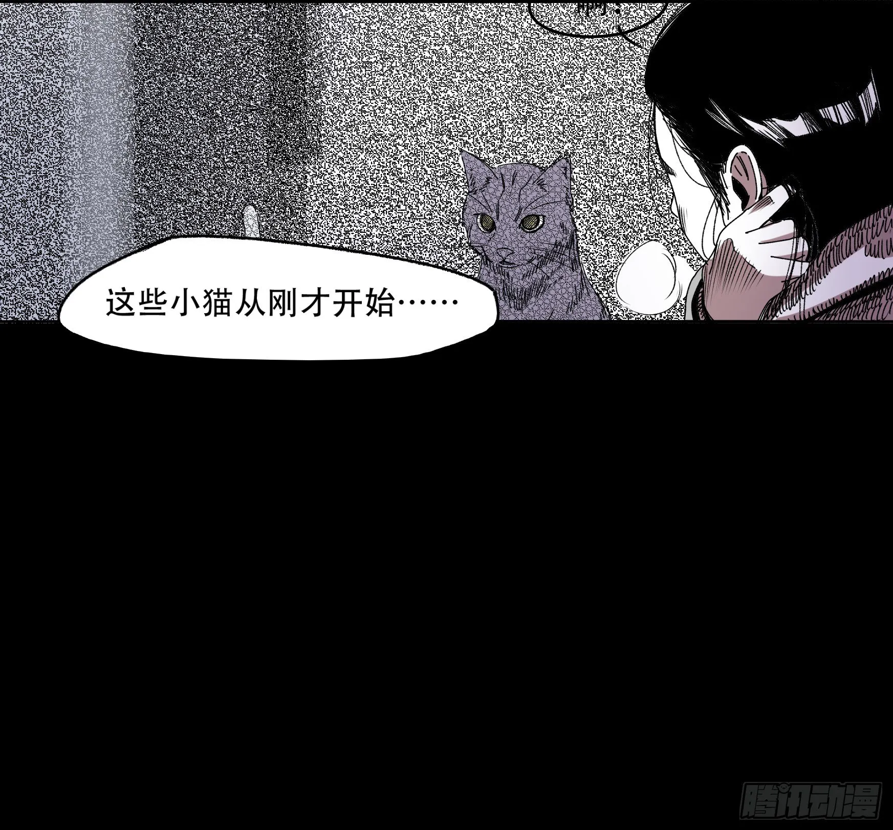 看家的猫 第27页