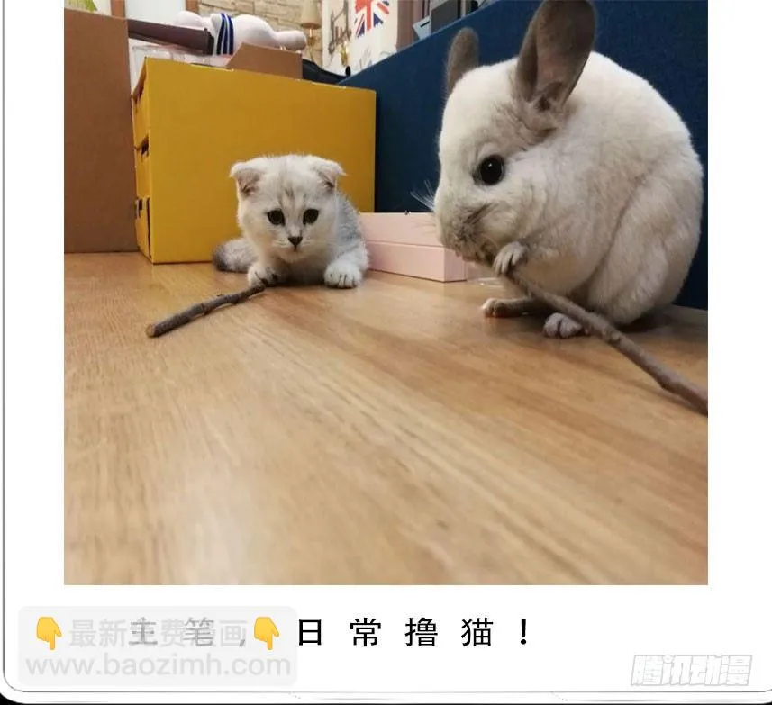 看家的猫 第37页