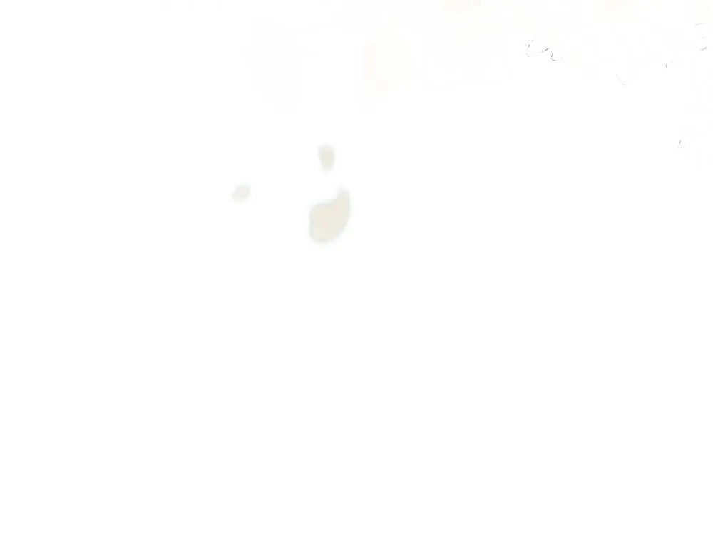 第74话 第43页