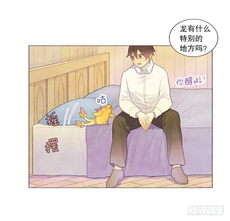 传说中的龙之子 第20页