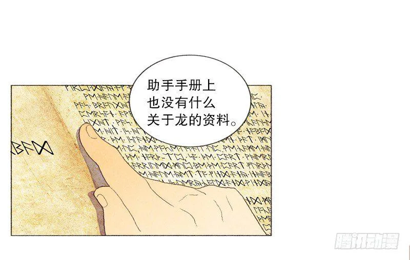 传说中的龙之子 第26页