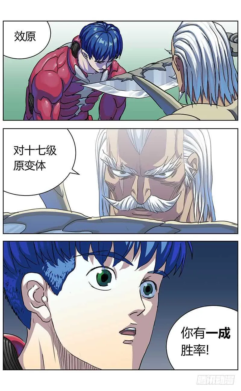 316诱饵 第5页