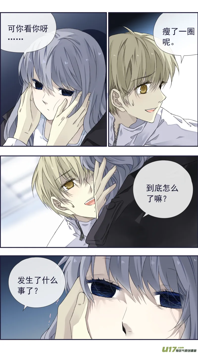 蓝翅猫咪版 第5页