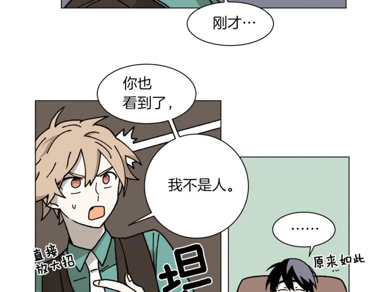 第2话 被人类发现了！ 第52页