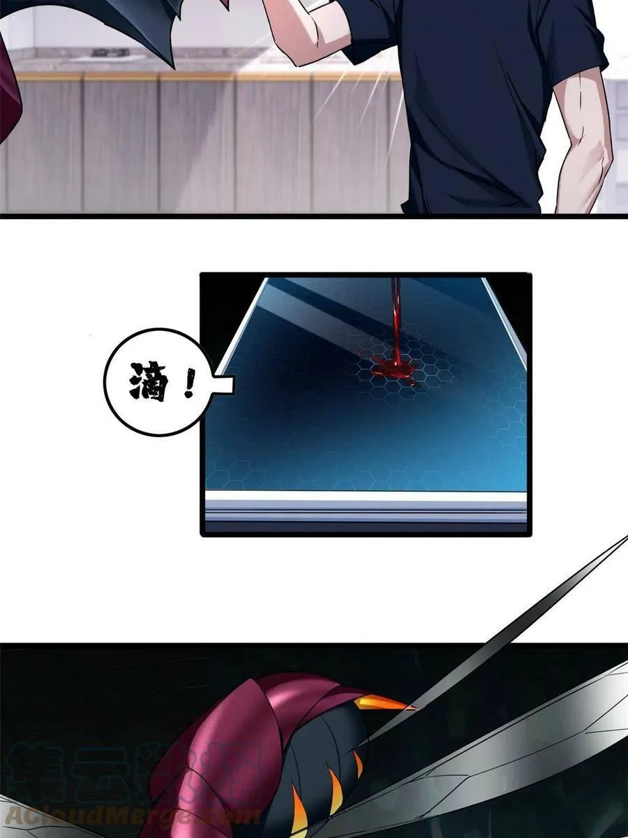 52 银翼飞蚁VS血纹佛心莲 第11页