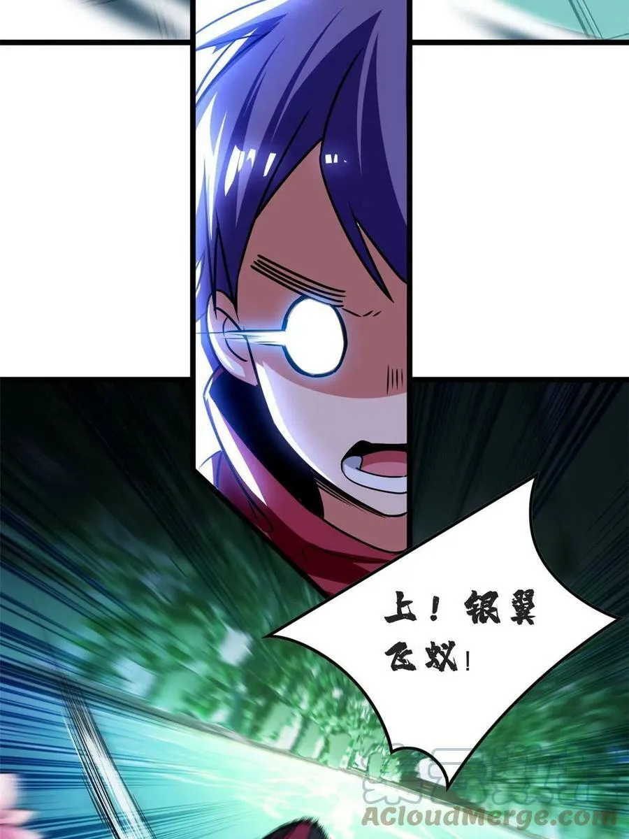 52 银翼飞蚁VS血纹佛心莲 第13页