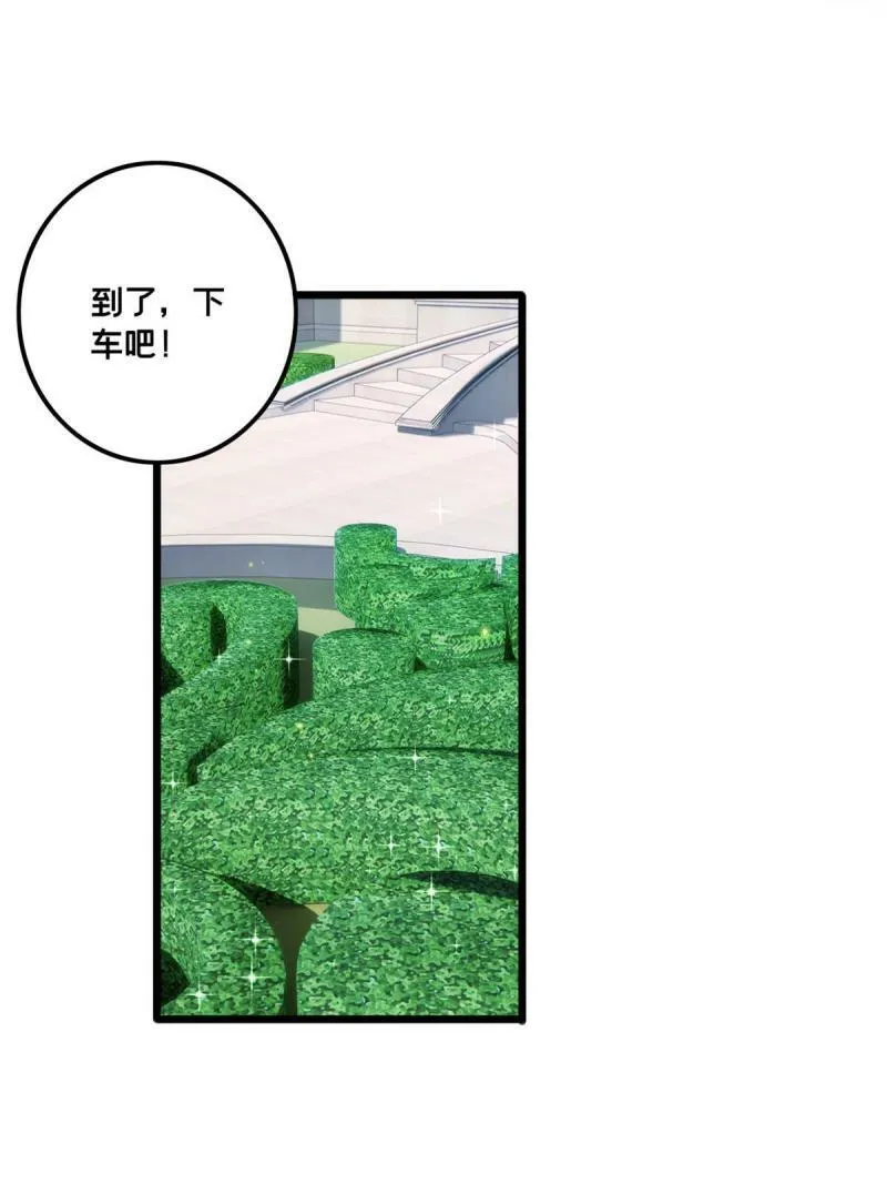 34 特别监察局的监视 第38页