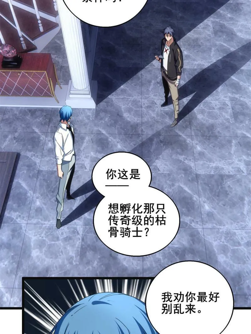 28 融合伴生宠 第13页