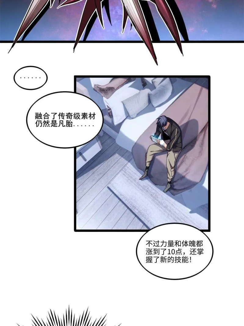 28 融合伴生宠 第33页