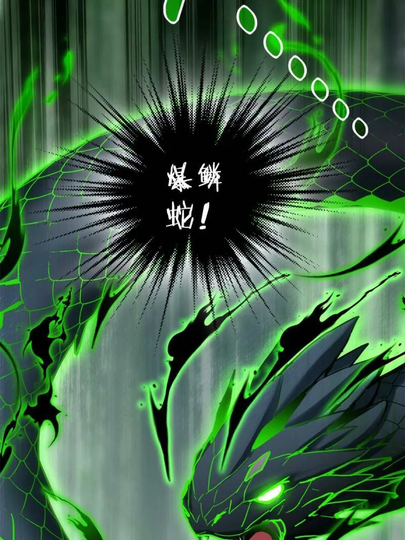 11 传奇伴生宠 第25页