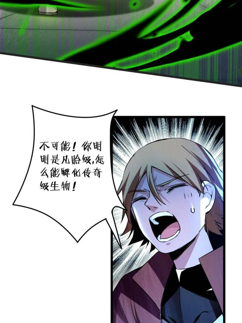 11 传奇伴生宠 第27页