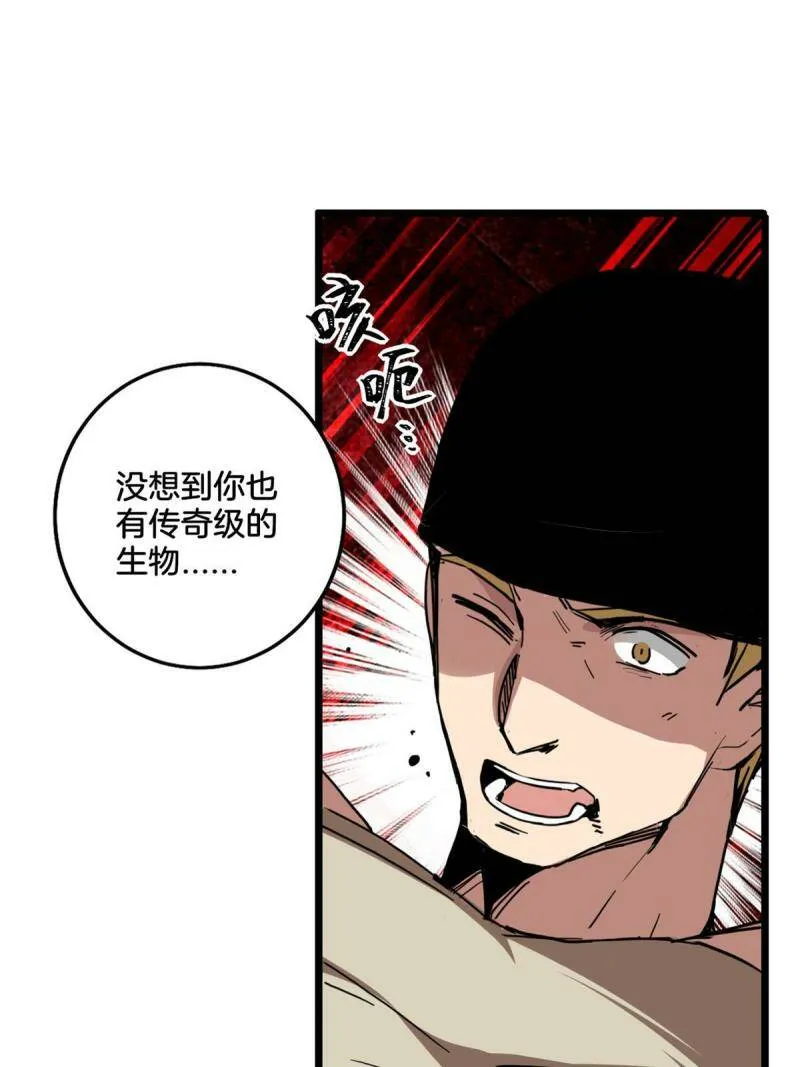 11 传奇伴生宠 第44页