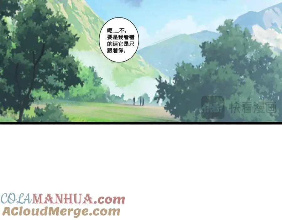 124 凤凰？ 第52页