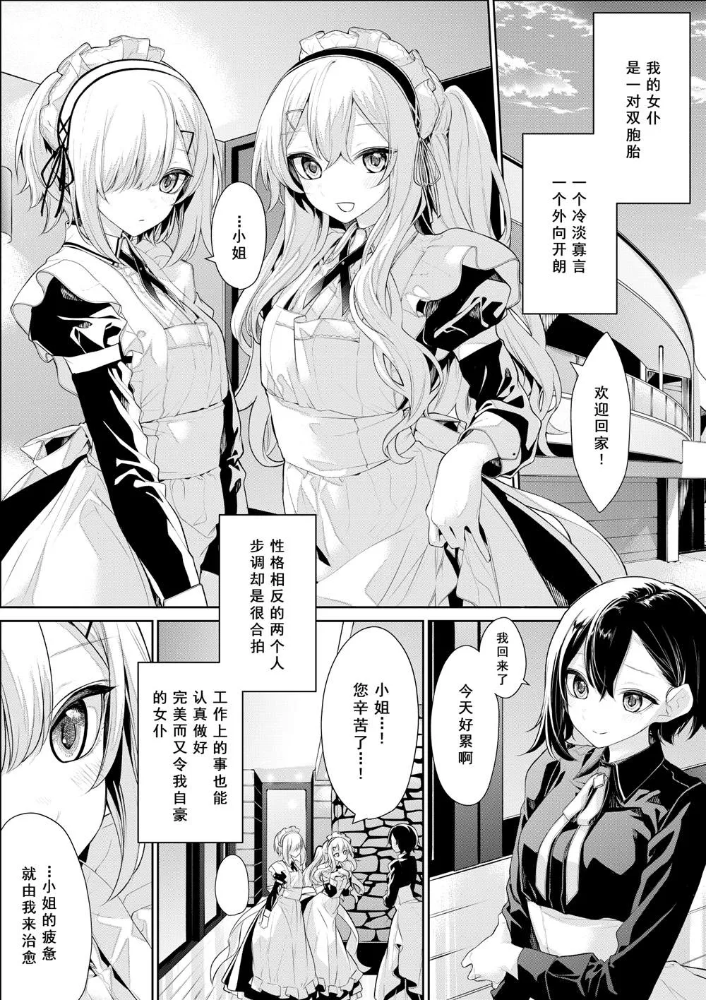 被双子女仆争宠的大小姐 第5页