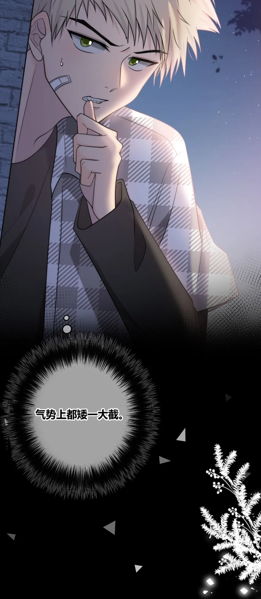 073 叫哥 第29页