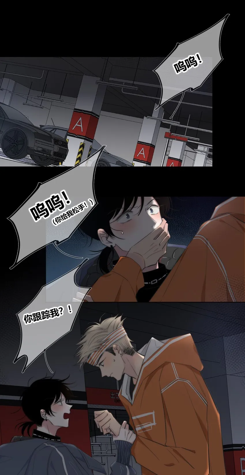 003 跟踪 第3页