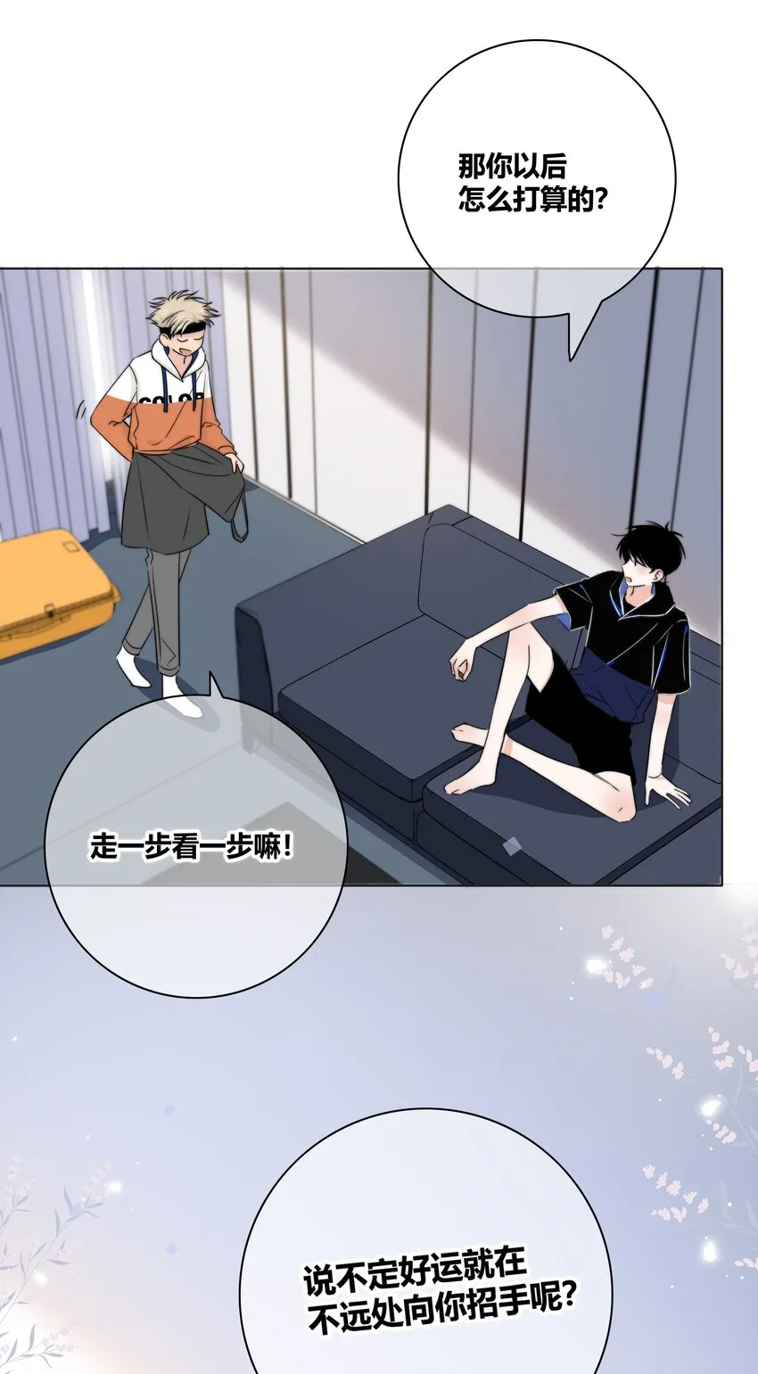 016 保护 第13页