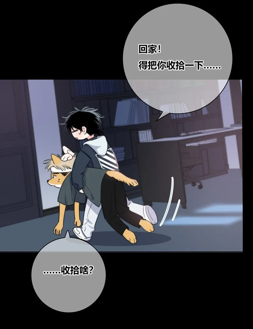 019 抉择 第23页