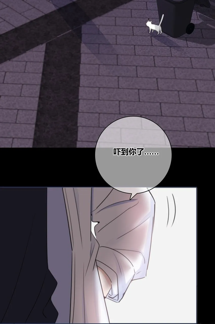 030 这一拳我早就想打了！ 第23页
