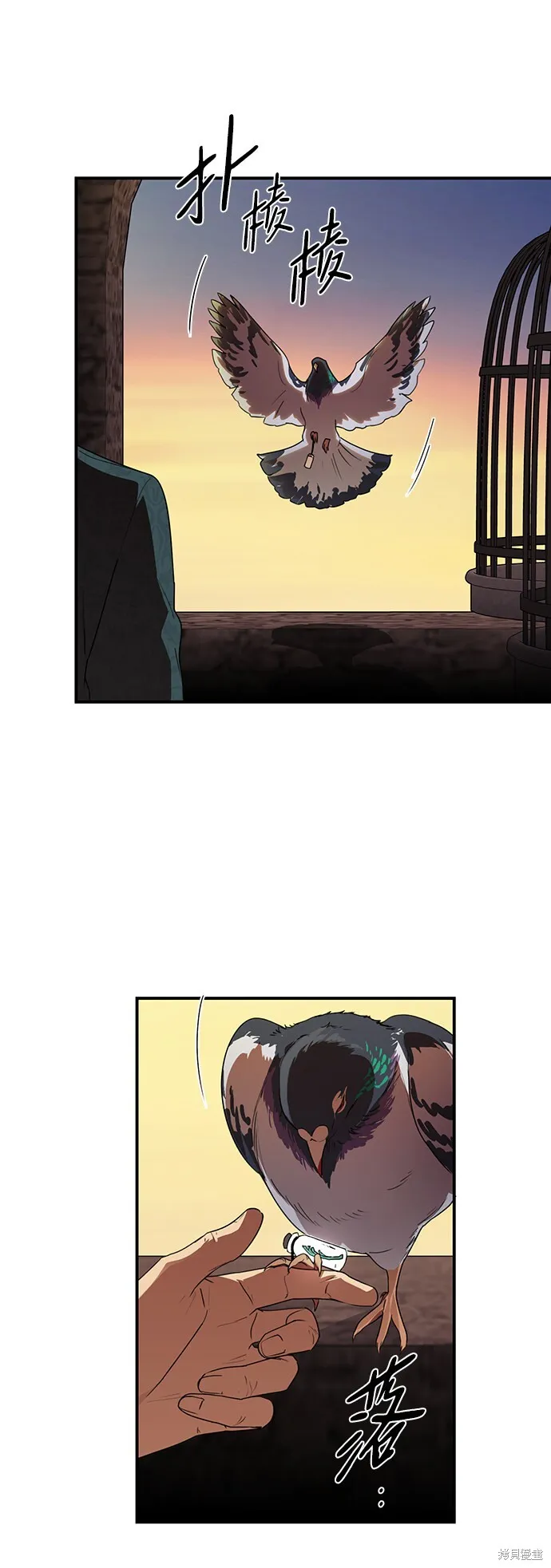 22 第49页