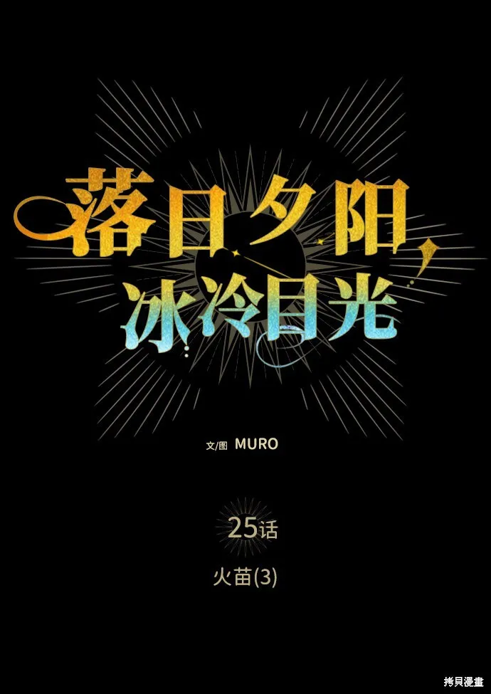 25 第21页