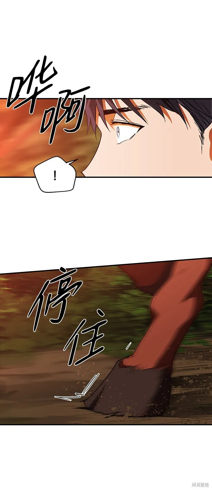 24 第5页