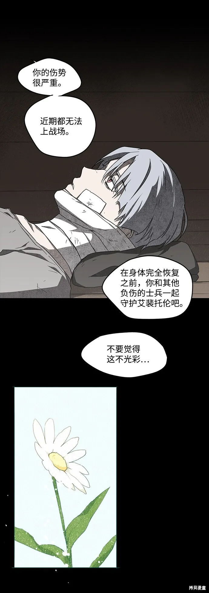 29 第8页