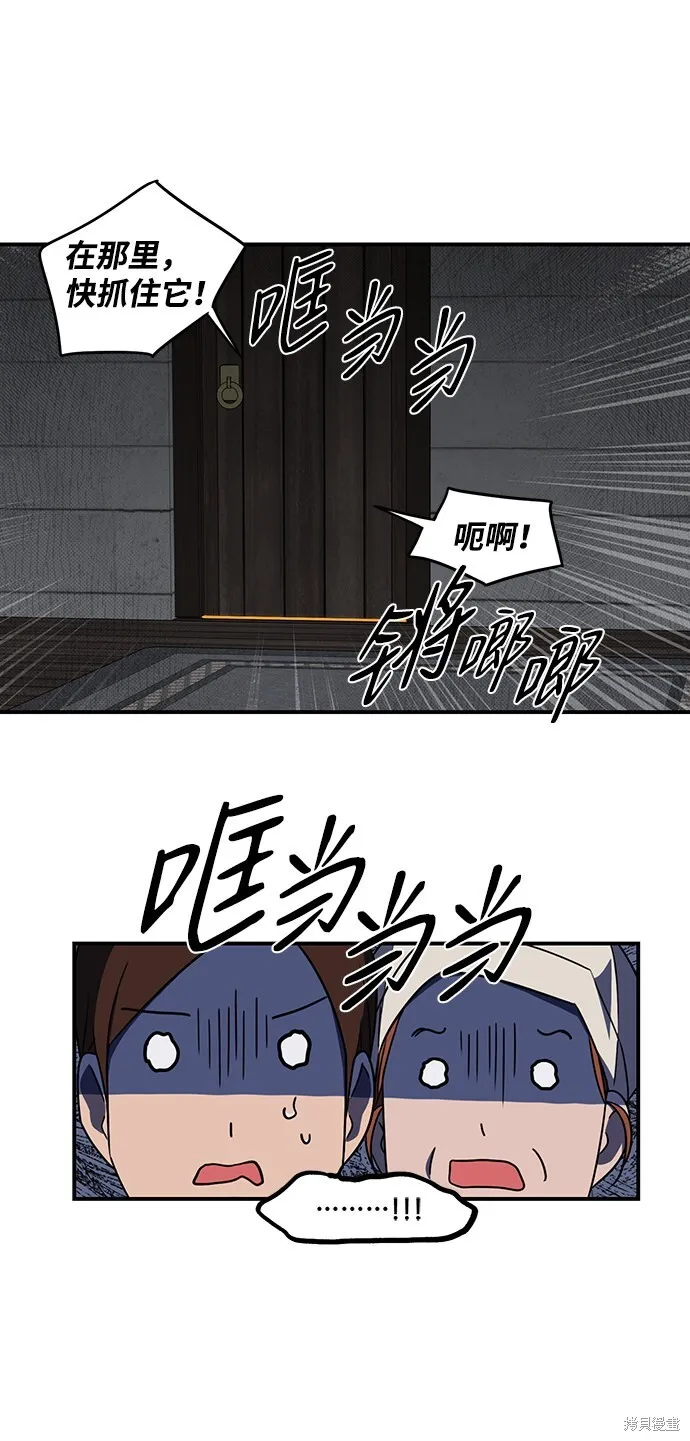 37 第17页