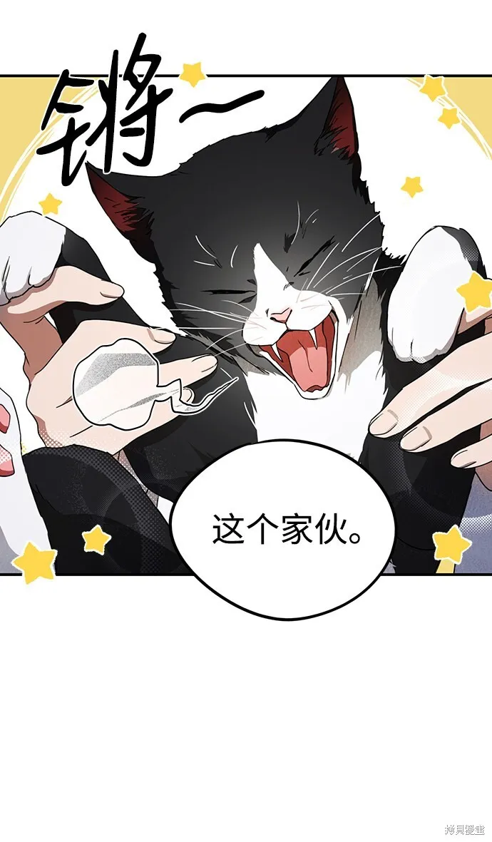 37 第21页