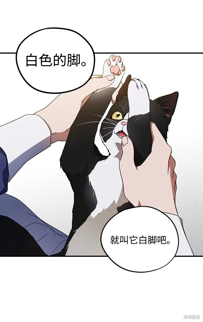 37 第29页