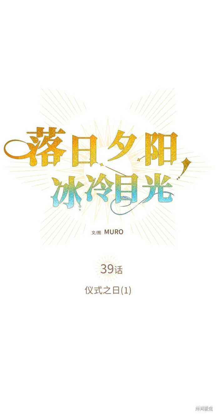 39 第9页