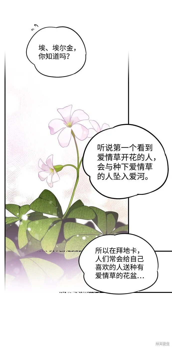 39 第26页