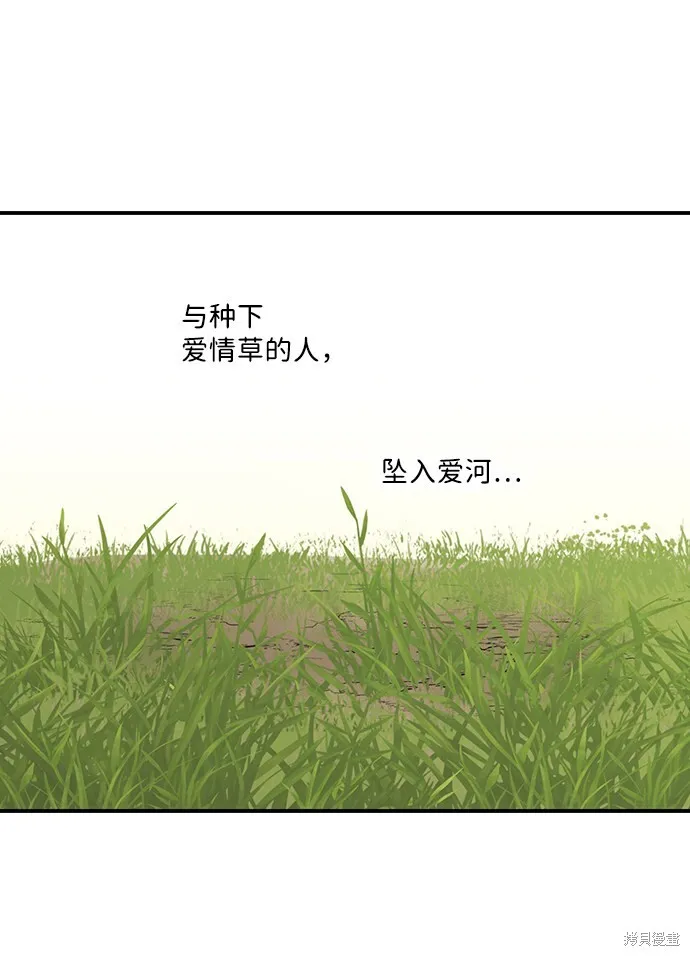 39 第31页