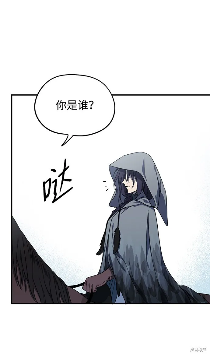 39 第49页