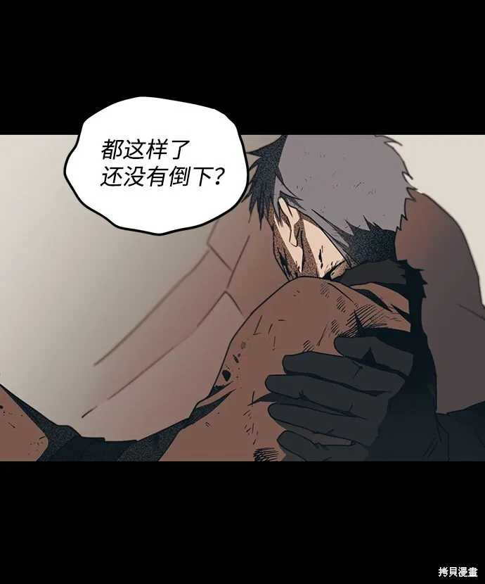 46 第54页