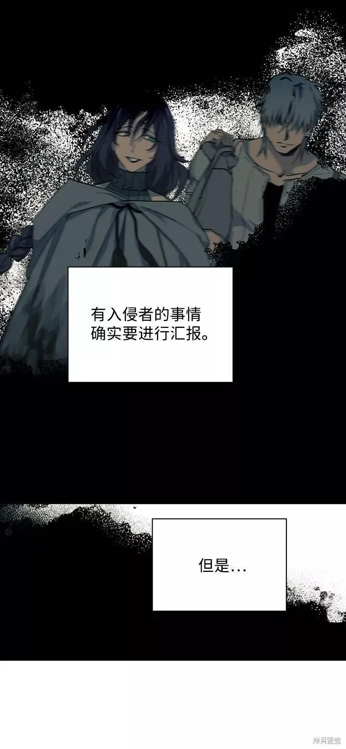 53 第66页