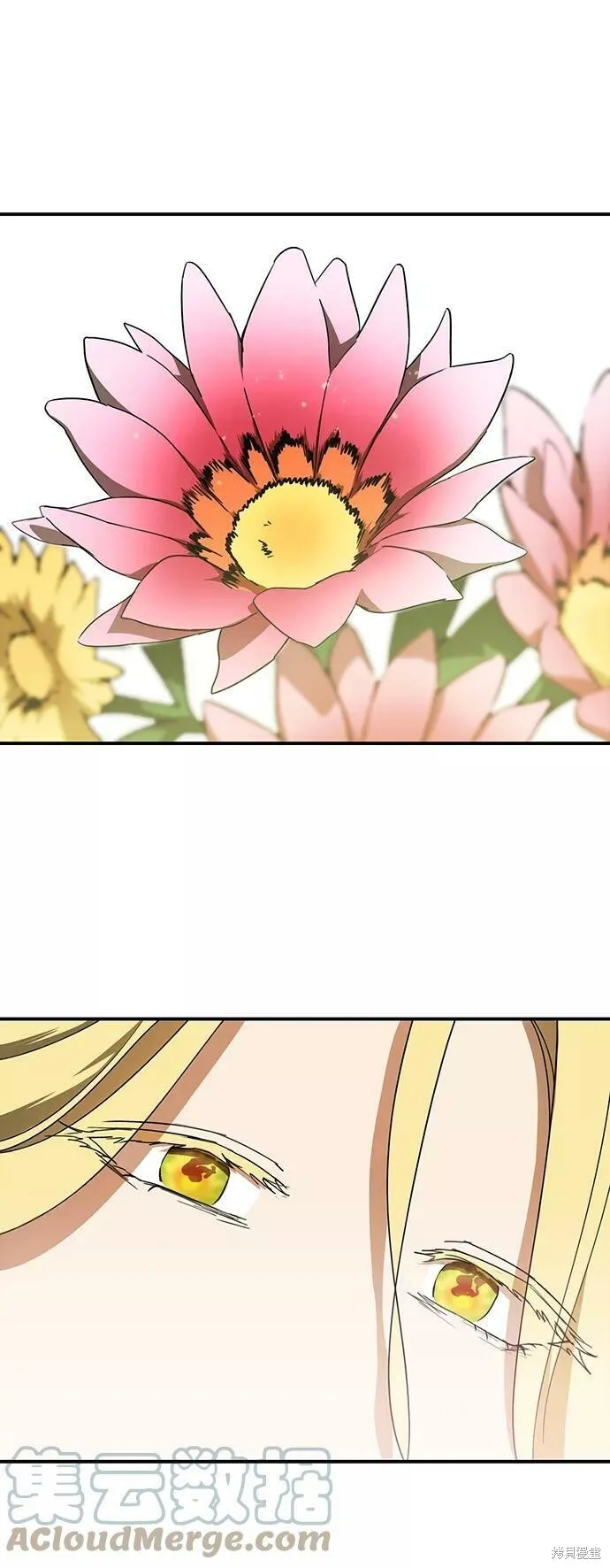 55 第39页
