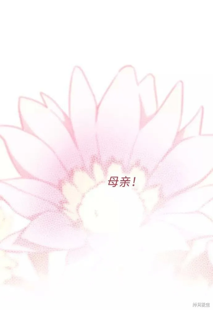 55 第40页