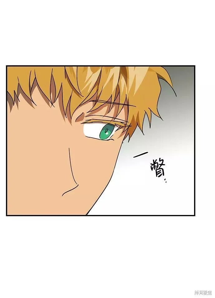 63 第55页
